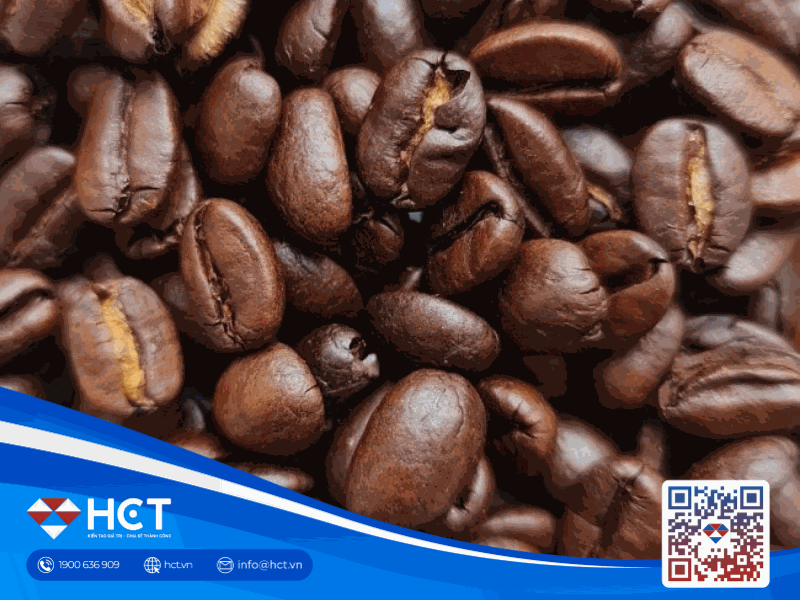 Diễn biến giá cà phê 05/06/2025: Cập nhật mới nhất từ thị trường nội địa và quốc tế