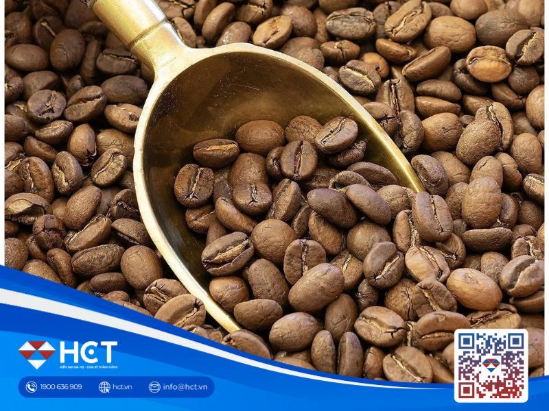 Thị trường cà phê 06/06: Xuất khẩu giảm, kỹ thuật quá bán và dự báo trái chiều