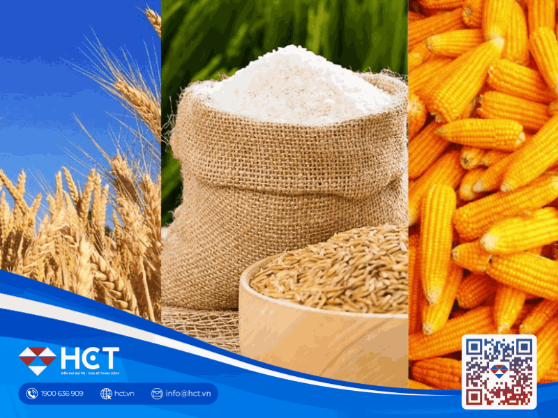 Diễn Biến Giá và Xuất Khẩu Lúa Mì, Đậu Tương, Ngô ngày 9/6/2025