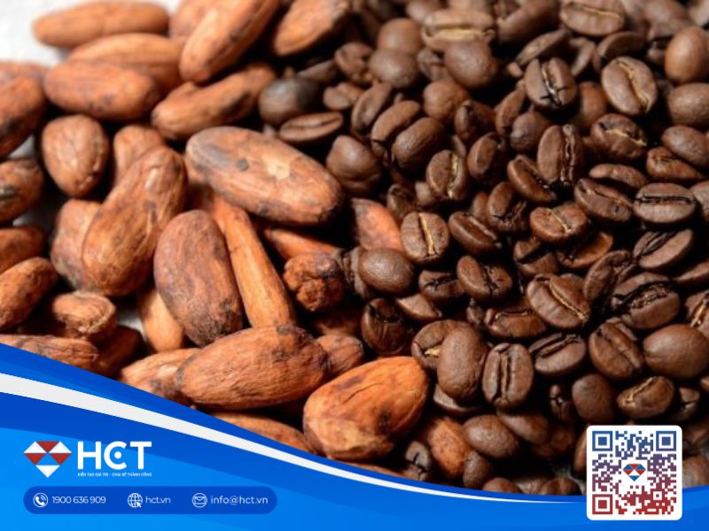 Nhận định cà phê và cacao 2025