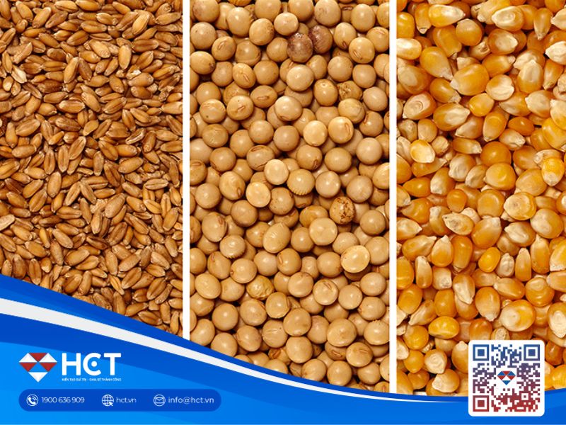 Thị trường nông sản biến động ngày 13/6/2025