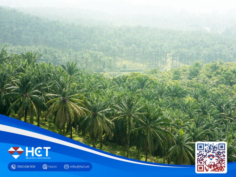 Giá dầu cọ Malaysia tăng mạnh nhờ kỳ vọng nhu cầu và căng thẳng địa chính trị