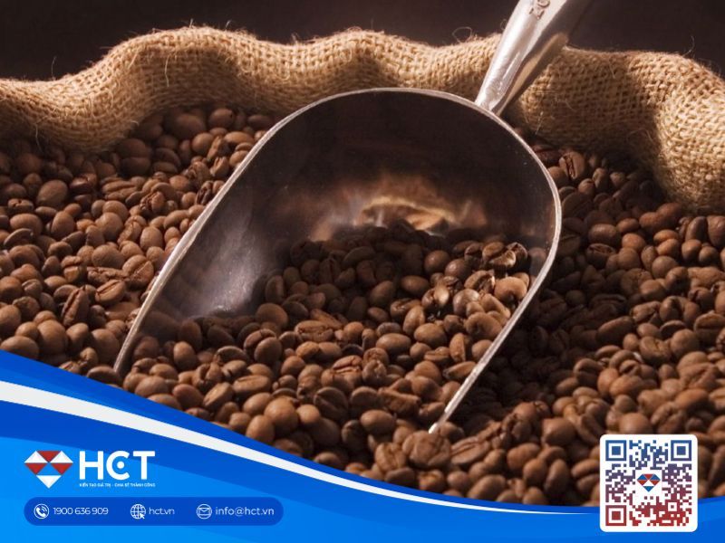 Giá cà phê 18/06/2025: Đà giảm tiếp tục do nguồn cung toàn cầu được cải thiện