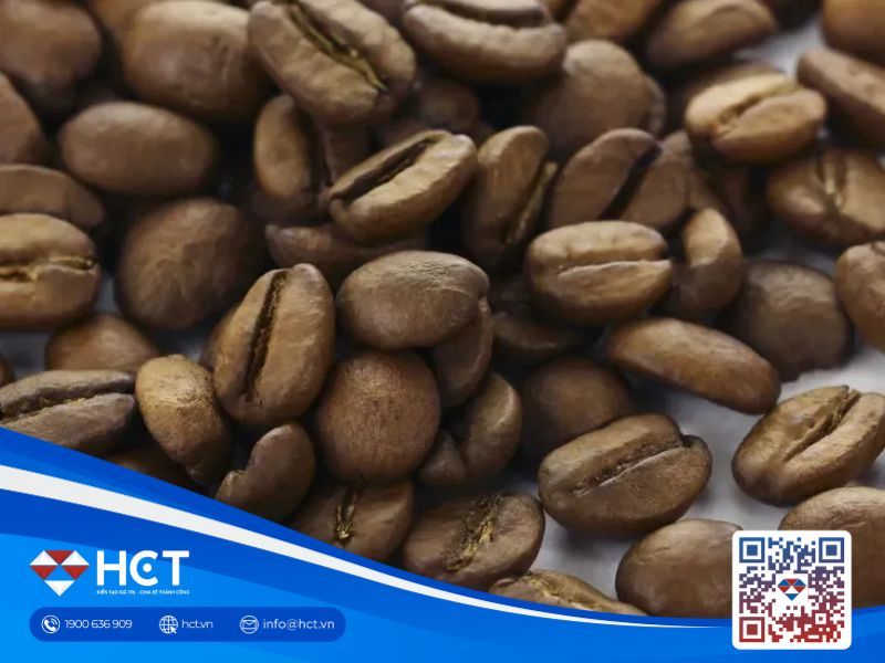 Thị trường cà phê 23/06/2025: Chịu áp lực nguồn cung tăng từ Brazil và Việt Nam