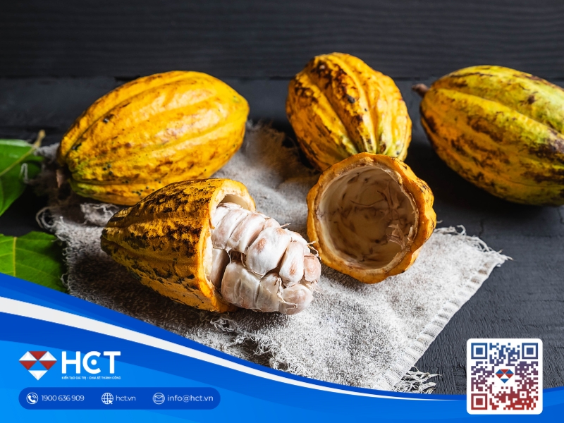 Cacao đối mặt rủi ro cung, đường hưởng lợi từ giá năng lượng tăng