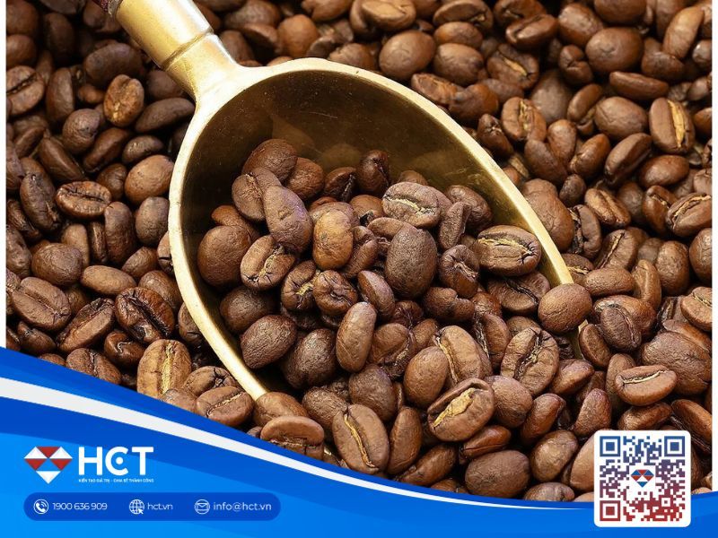 Giá cà phê 03/07: Tín hiệu tích cực từ mưa tại Việt Nam và Indonesia