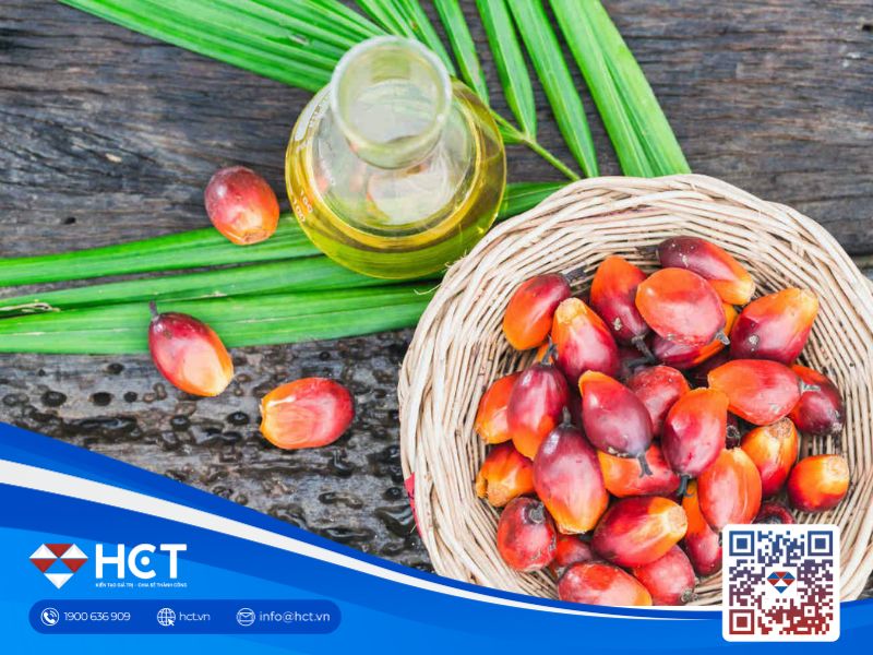 Giá dầu Cọ Malaysia tăng mạnh 3 phiên liên tiếp