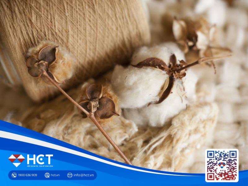 Giá bông phục hồi nhẹ ngày 11/7