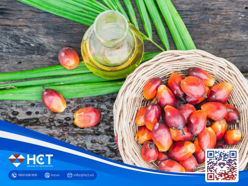 Giá dầu cọ Malaysia 18/07: Tăng theo xu hướng dầu thực vật toàn cầu, hướng tới tuần tăng thứ ba liên tiếp