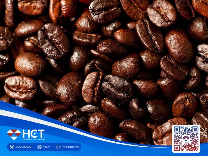 Giá cà phê 13/08/2025: Tiếp tục lập đỉnh mới, thị trường duy trì đà tăng