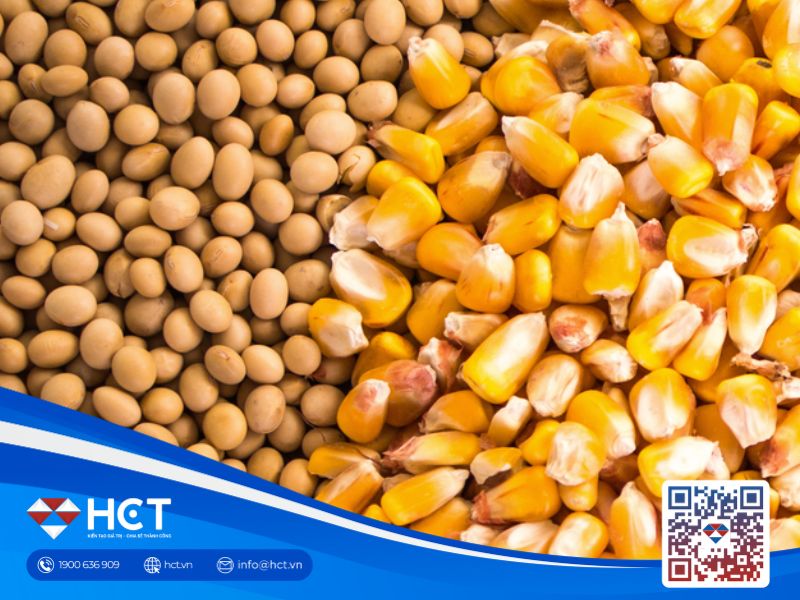 Diễn biến thị trường nông sản ngày 27/8