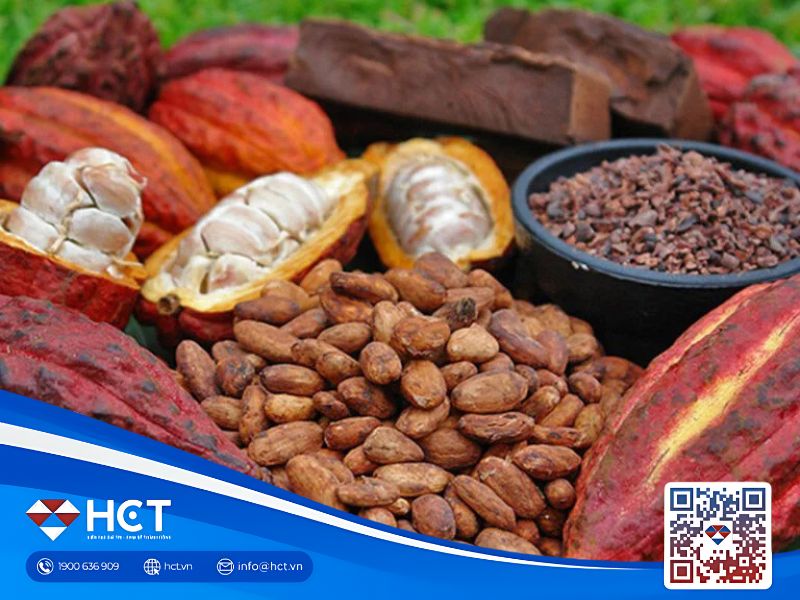 Giá bông ổn định, ca cao giảm sâu và đường chịu áp lực nguồn cung ngày 10/09/2025