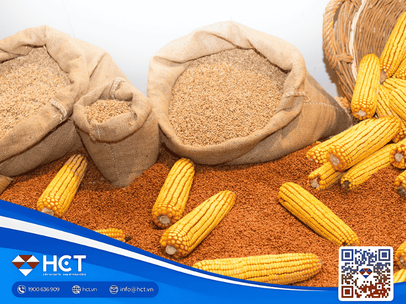 Tổng quan nông sản ngày 11/9: Lúa mì giảm, đậu tương chờ báo cáo USDA, ngô tăng nhờ sản lượng