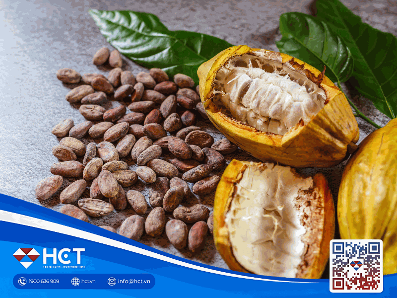 Giá bông ngày 23/09 duy trì ổn định nhờ cầu tăng