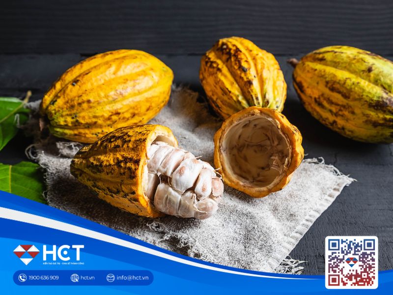 Cacao, đường, bông ngày 3/10: Nguồn cung từ vụ thu hoạch mới gây sức ép lên giá