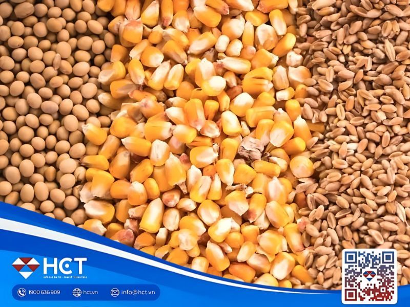 Tổng quan nông sản 24/10: Lúa mì hồi phục mạnh, đậu tương chờ đột phá đàm phán, ngô duy trì triển vọng tích cực