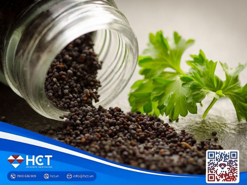 Giá tiêu 29/10: Tăng nhẹ trên toàn quốc, tiến gần mốc cao nhất 3 tháng