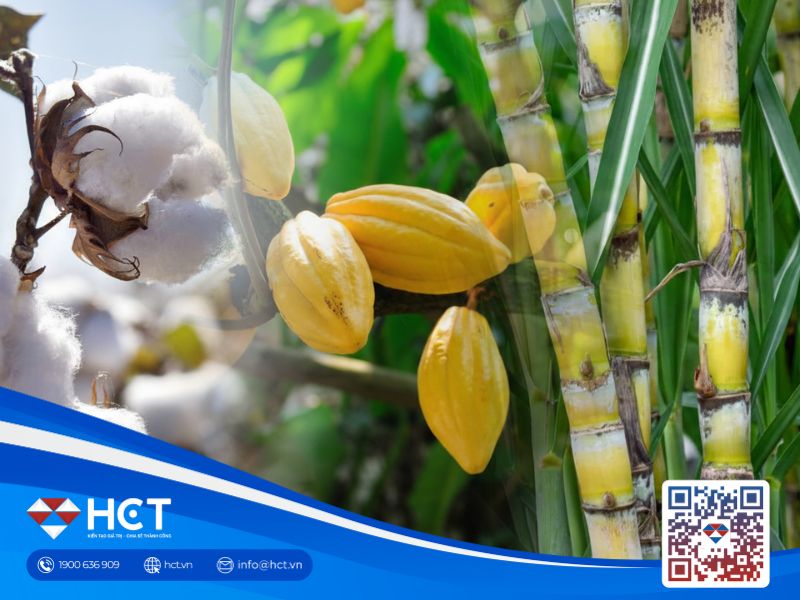 Thị trường nguyên liệu công nghiệp biến động trước tín hiệu thương mại tích cực giữa Mỹ và châu Á