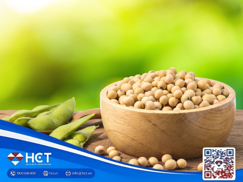 Tổng quan nông sản 31/10: Lúa mì Ukraine giảm tốc, Trung Quốc nối lại mua đậu tương Mỹ, ngô đối mặt rủi ro La Niña