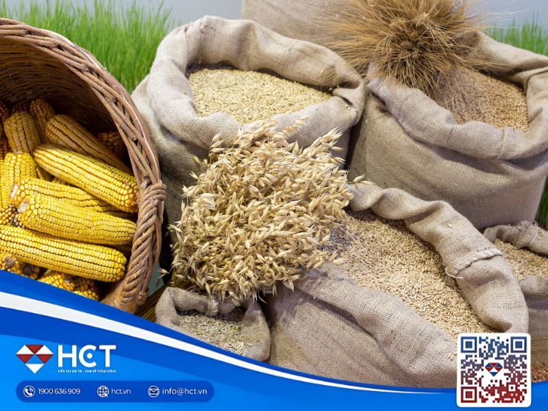 Tổng quan nông sản 3/11: Lúa mì giữ đà sản xuất, đậu tương bật tăng nhờ thỏa thuận Mỹ–Trung, ngô chịu sức ép tồn kho