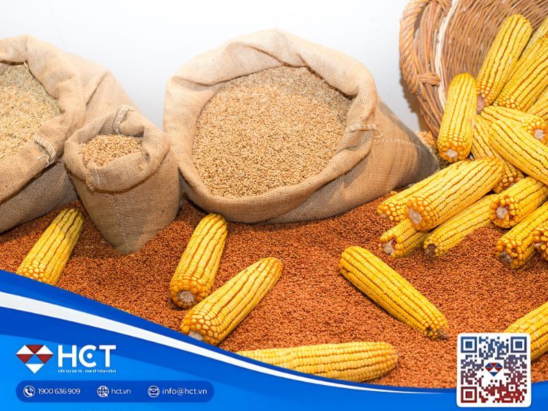 Tổng quan nông sản 4/11: Lúa mì ổn định, đậu tương tăng nhờ thương mại Mỹ–Trung, ngô khởi sắc nhờ xuất khẩu tốt