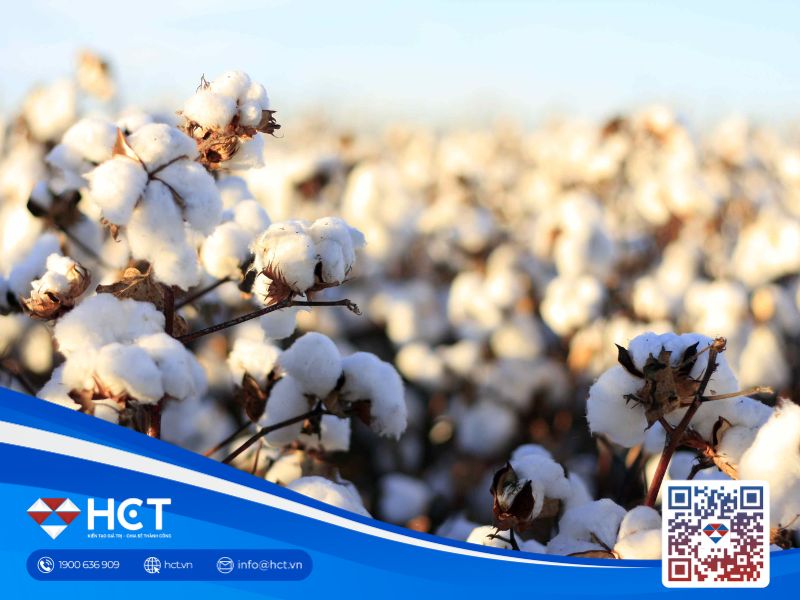 Nguyên liệu công nghiệp 6/11/2025: Thuế quan và tình hình nguồn cung là tâm điểm