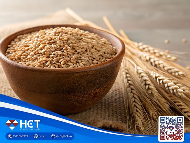 Tổng quan nông sản 17/11: Lúa mì dư cung, đậu tương xuất khẩu hạn chế, ngô Mỹ tồn kho cao