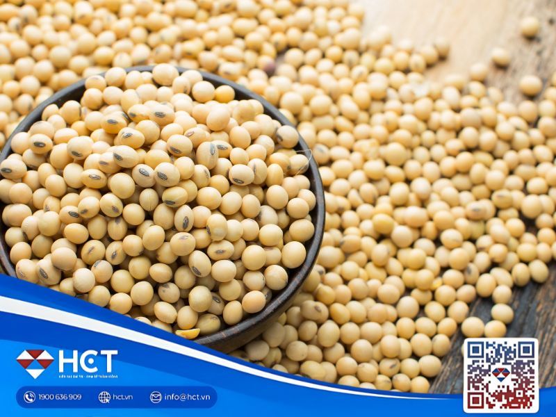 Tổng quan nông sản 21/11: Lúa mì xuất khẩu mạnh, đậu tương khởi sắc, ngô dư thừa toàn cầu