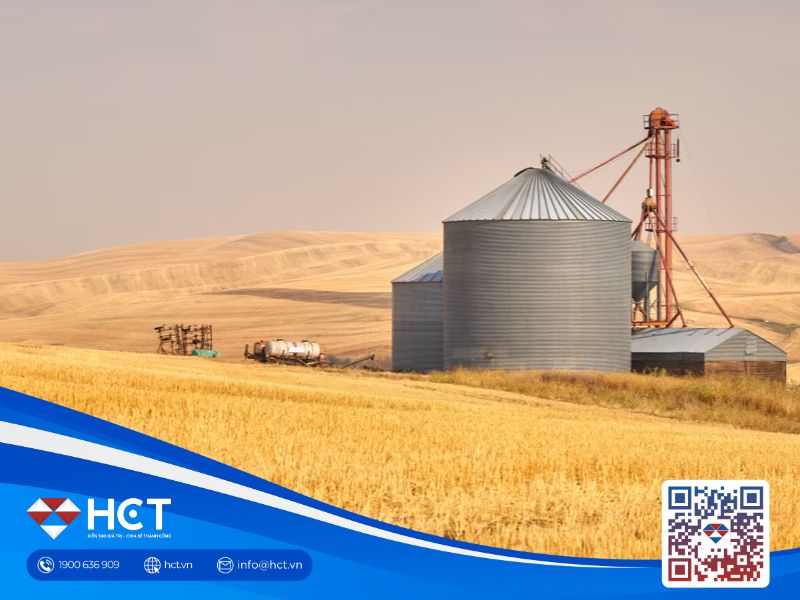 Lúa mì phục hồi trước kỳ nghỉ lễ, đậu tương tăng nhờ kỳ vọng Trung Quốc mua thêm