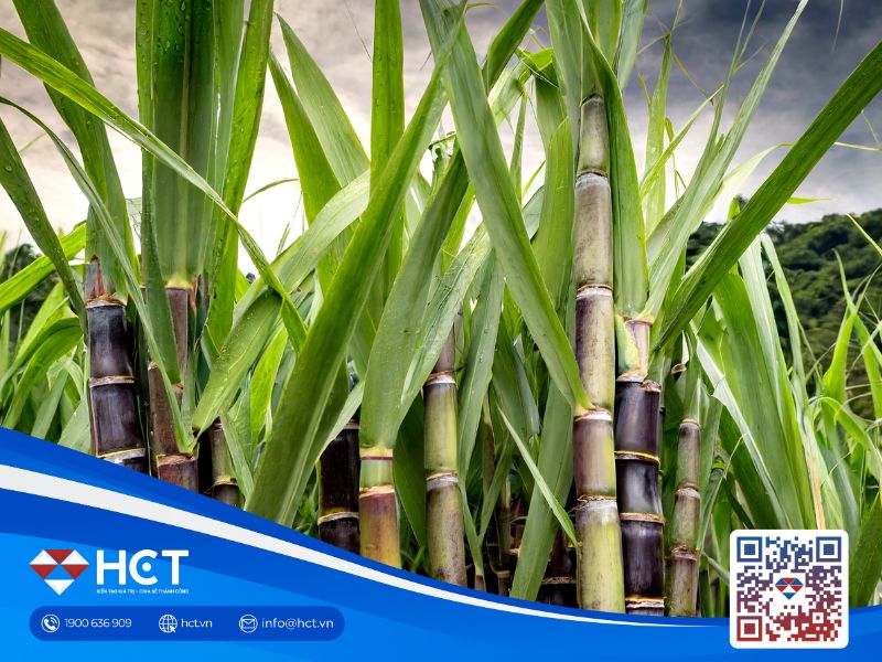 Nguyên liệu công nghiệp ngày 26/11/2025: Thị trường phân hóa trước biến động cung–cầu