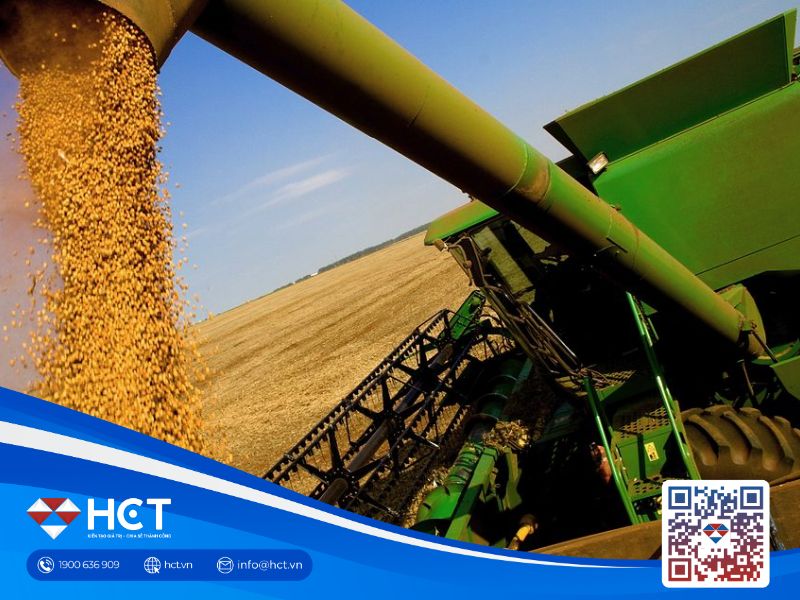 Thị trường nông sản ngày 2/12: Sản lượng lúa mì dự báo tăng mạnh, xuất khẩu ngô, đậu tương tăng cao