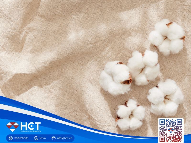 Thị trường nguyên liệu công nghiệp ngày 15/12: Bông giảm do cung cầu, ca cao tăng nóng, đường bị áp lực thặng dư