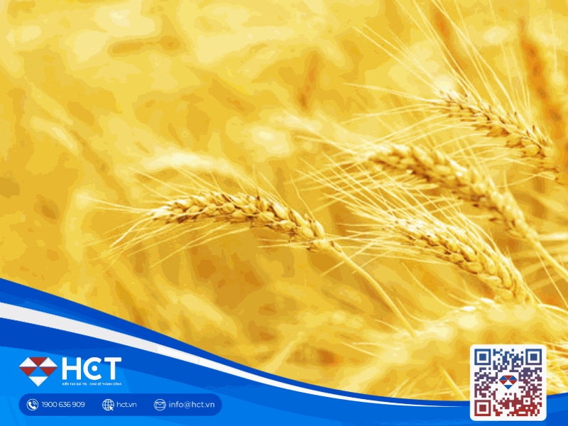 Diễn biến thị trường nông sản 16/12