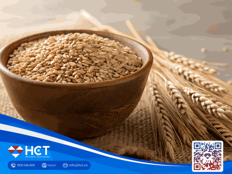 Diễn biến nông sản 19/12: Nguồn cung lúa mì trở nên dồi dào, xuất khẩu đậu tương có dấu hiệu sụt giảm trong khi ngô nhận tin khởi sắc