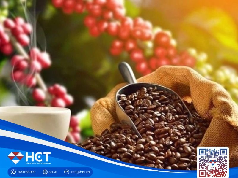 Giá cà phê ngày 20/1: Thị trường nội địa đồng loạt tăng, áp lực nguồn cung từ Brazil hỗ trợ đà giá