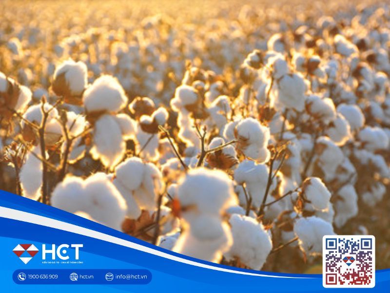 Nguyên liệu công nghiệp tổng hợp ngày 27/01: Bông, ca cao và đường cùng chịu sức ép từ nhu cầu suy yếu