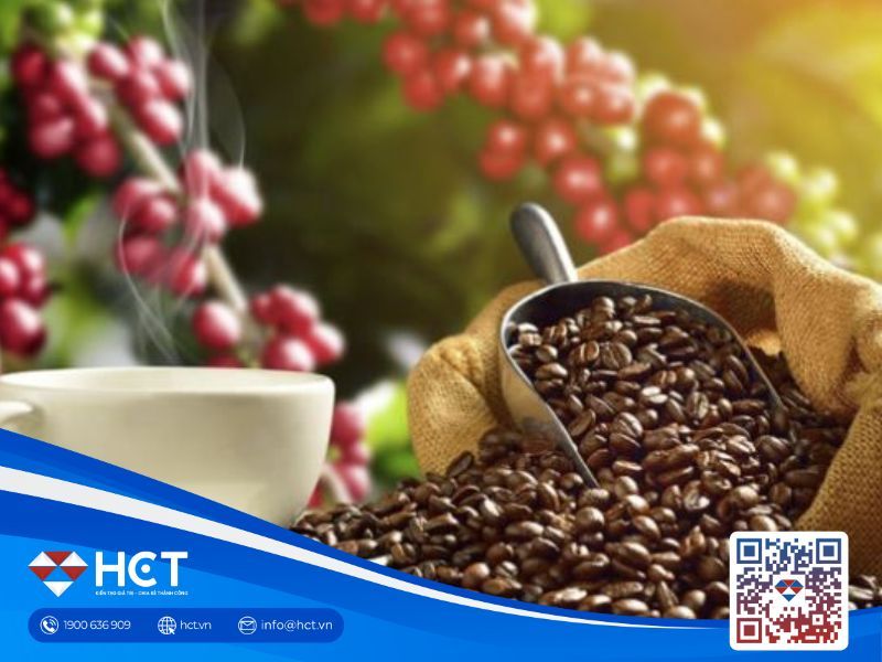 Giá cà phê trong nước ngày 29/01 giảm mạnh, thị trường quốc tế đối mặt áp lực nguồn cung