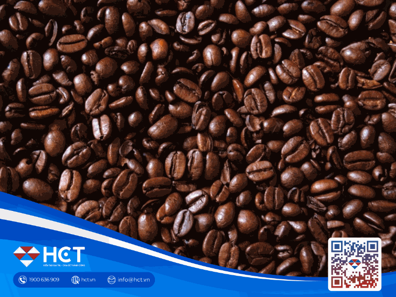 Giá cà phê trong nước ngày 30/01 nhích tăng, giao dịch thận trọng trước Tết Nguyên đán