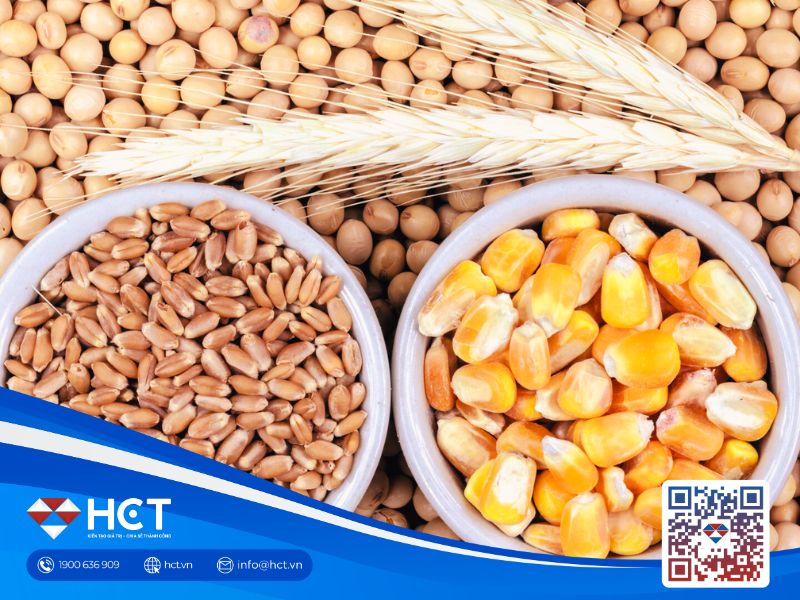 Thị trường nông sản 5/2/2026: Lúa mì ổn định, ngô chịu áp lực, đậu tương biến động mạnh