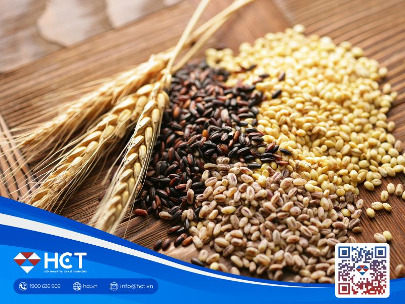 Thị trường nông sản 12/2/2026: Lúa mì cải thiện xuất khẩu, đậu tương chịu áp lực