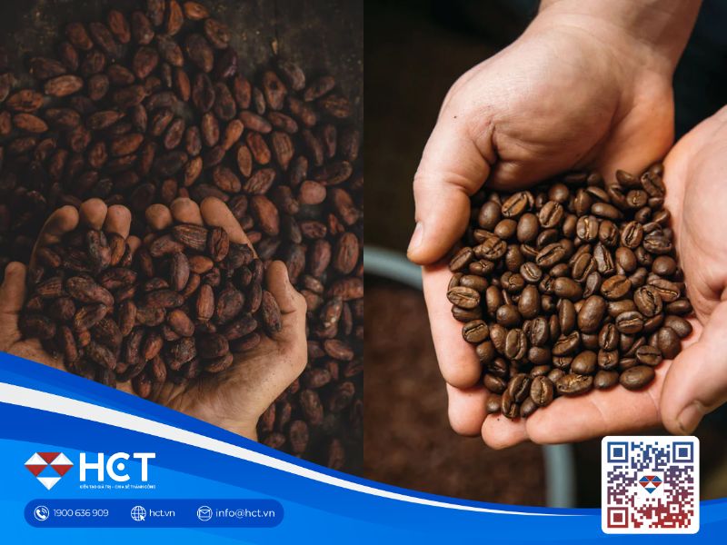 Nguyên liệu công nghiệp 19/2: Cà phê tăng tồn kho, đường Ấn Độ giảm sản lượng