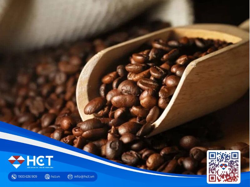 Giá cà phê ngày 23/02: Cà phê trong nước giảm 4,000 đ/kg, chạm mốc 93,700đ/kg