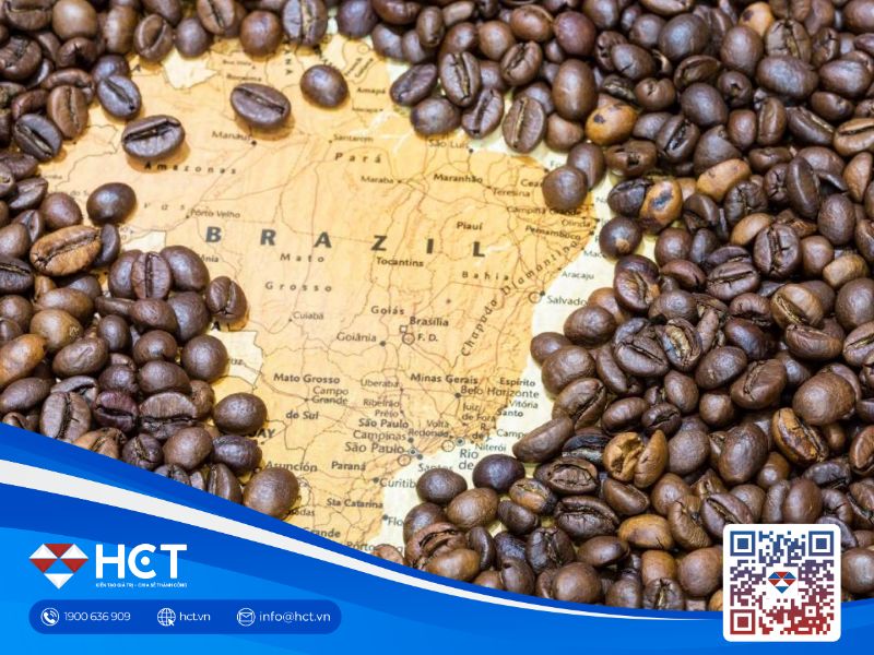 Thị trường cà phê tuần 23 - 27/2: Brazil siết truy xuất nguồn gốc, sản lượng 2026 hướng kỷ lục mới