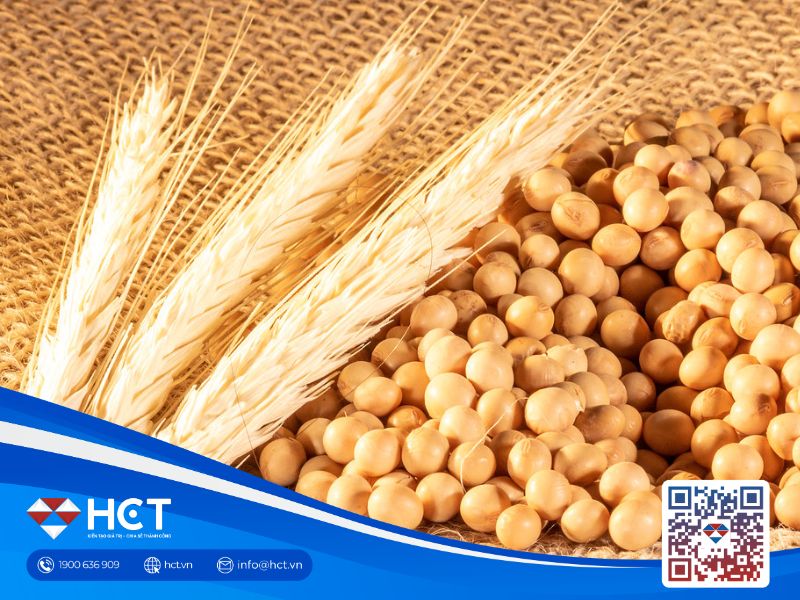 Lúa mì nhích lên, đậu tương chịu tác động từ chính sách và thương mại ngày 27/2