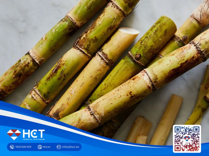 Nguyên liệu công nghiệp ngày 2/3: Đường dư cung, ca cao áp lực nhu cầu, bông chờ lực mua bù