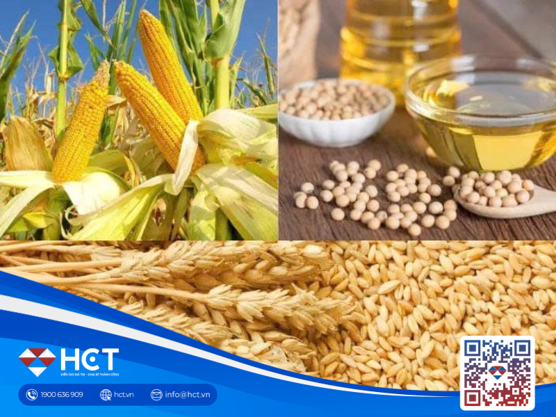 Nông sản 25/03:  Lúa mì dồi dào, đậu tương gặp khó vận chuyển