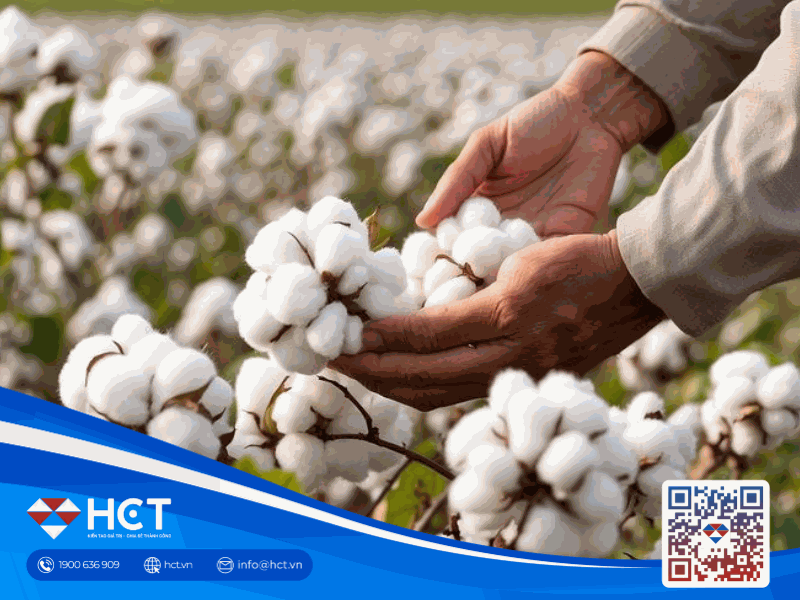 Sức ép chi phí và biến số thời tiết tác động lên thị trường nguyên liệu 25/03