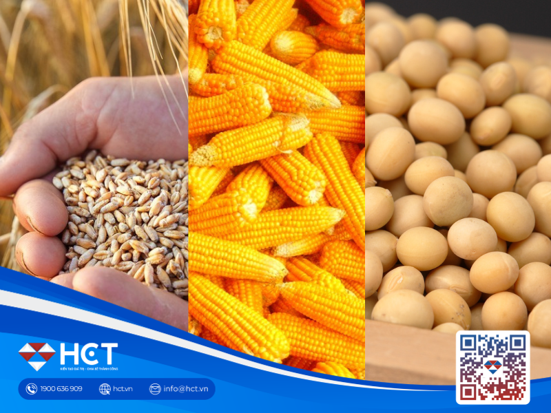 Thị trường nông sản 26/03: Nguồn cung Nga tăng mạnh, tồn kho Mỹ ở mức cao