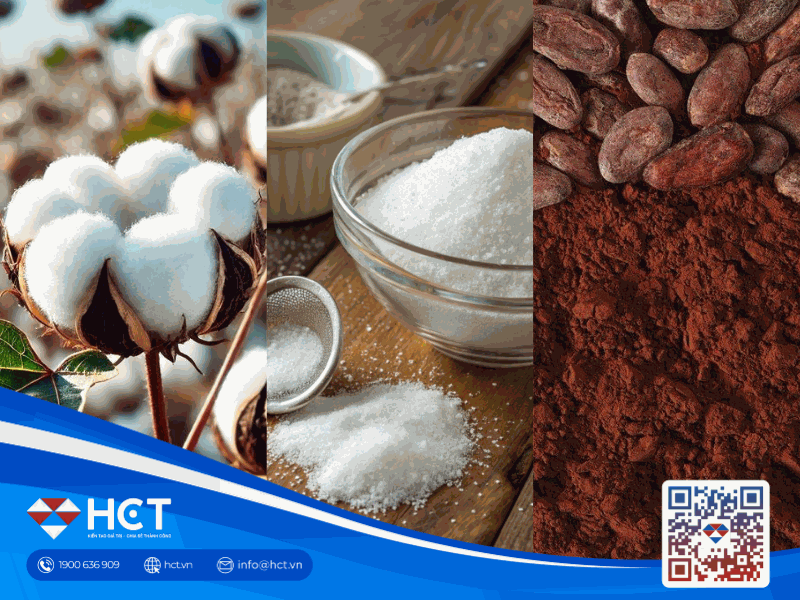 Nguyên liệu 26/03: Giá bông nỗ lực phục hồi, áp lực bủa vây đường và ca cao