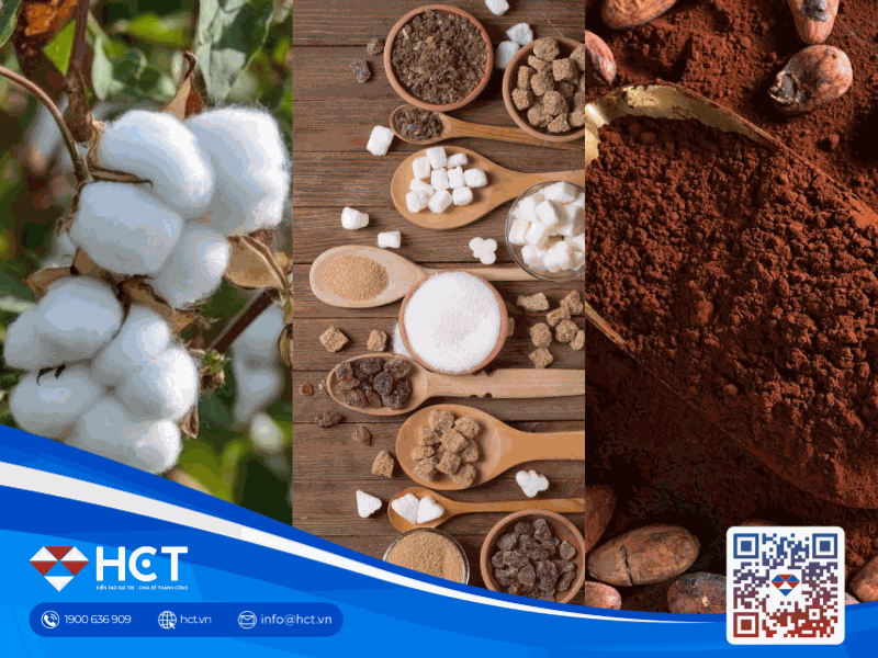 Thị trường nguyên liệu 30/3: Giá bông và đường giữ đà tăng, ca cao tìm vùng đáy